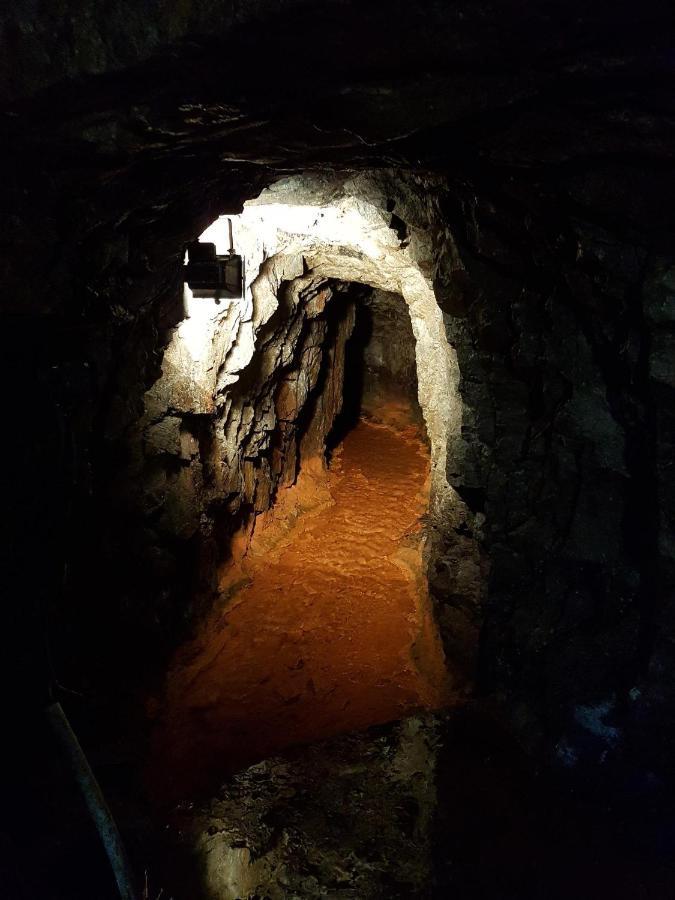 Ferienwohnung An Der Kleinen Schreinerei Hallschlag エクステリア 写真