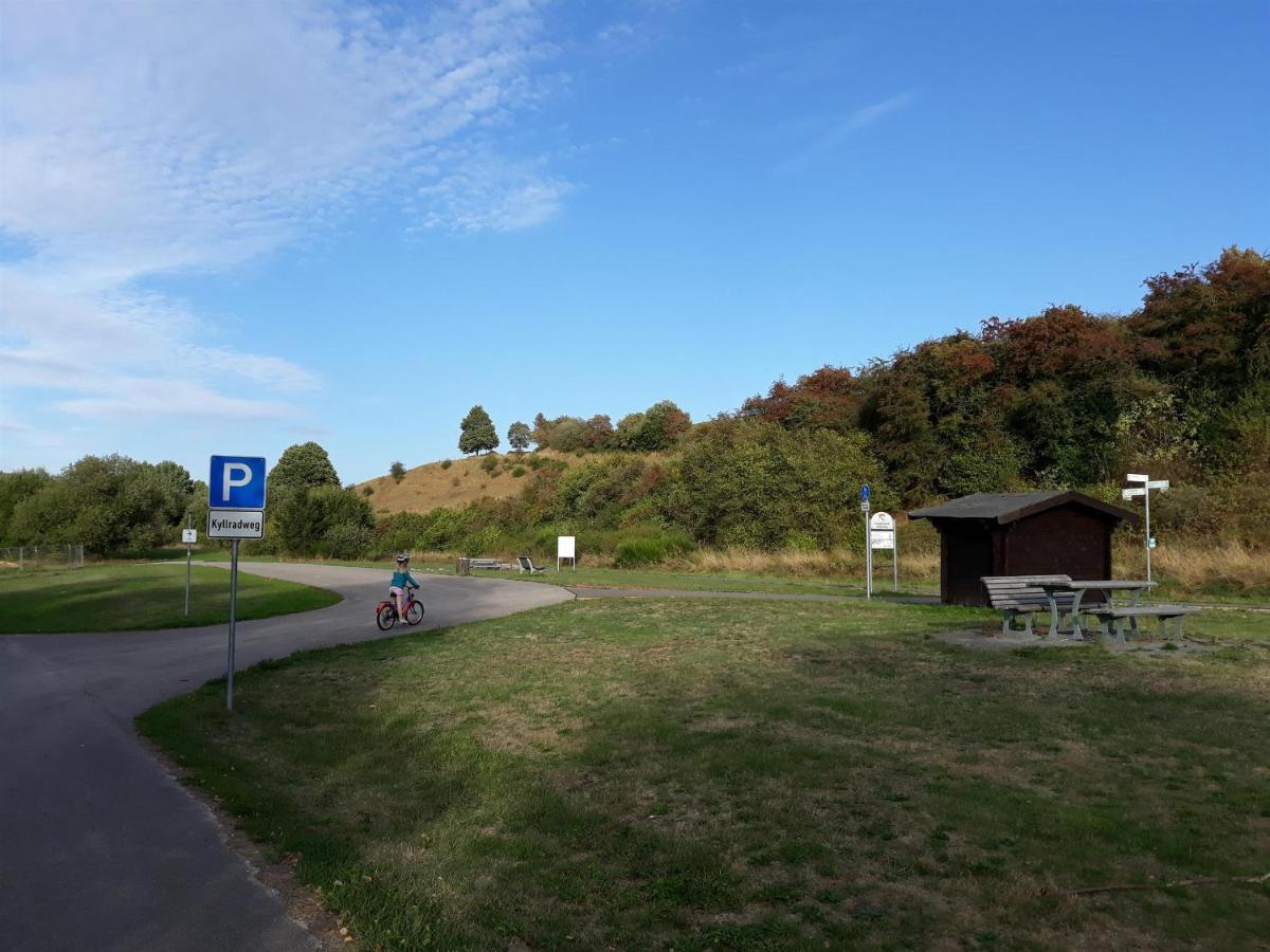 Ferienwohnung An Der Kleinen Schreinerei Hallschlag エクステリア 写真